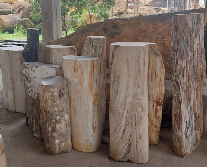 Sculpture Fossil Wood Furniture